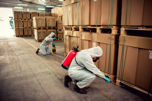 Best Best Pest Control Companies  in Scenic, AZ
