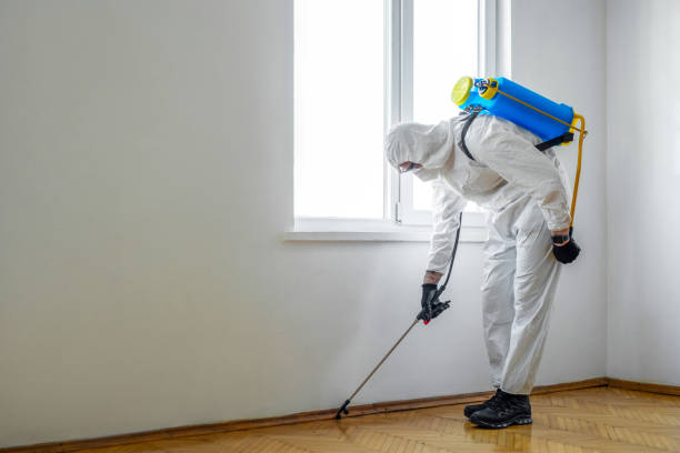 Best Rat Extermination Near Me  in Scenic, AZ